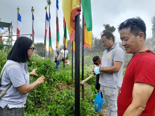 WhatsApp Image 2025-07-26 at 16.49.05_60367f0e