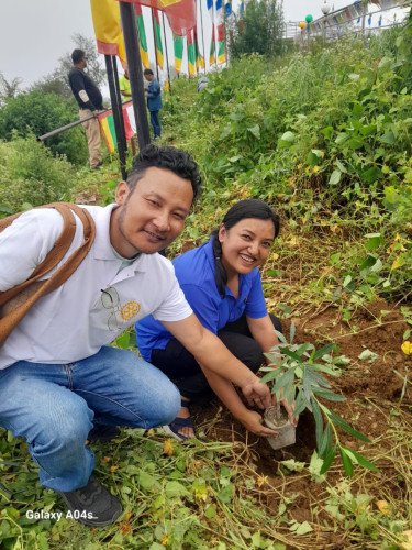 WhatsApp Image 2025-07-26 at 16.49.05_622dc727