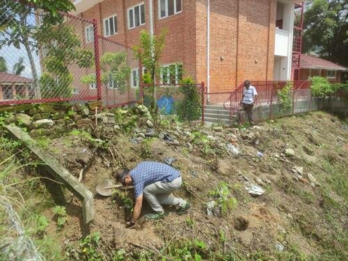 RCPDS Tree Plantation