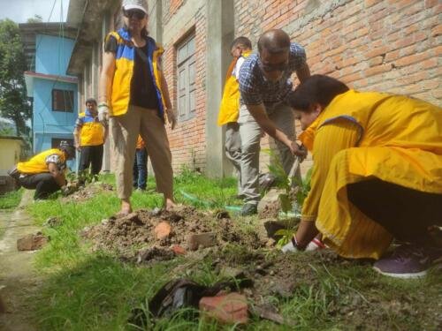 RCPDS Tree Plantation