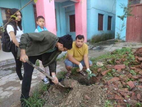 RCPDS Tree Plantation